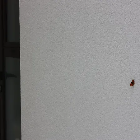 아파트 Nana Marusa 파그