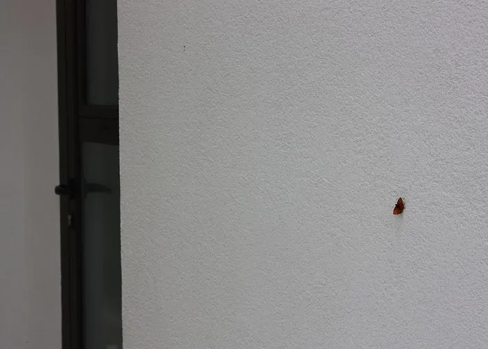 아파트 Nana Marusa 파그